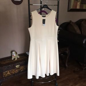 NWT skater dress.
